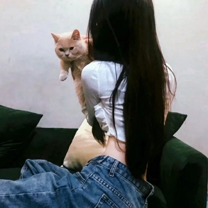 上车家族粤语